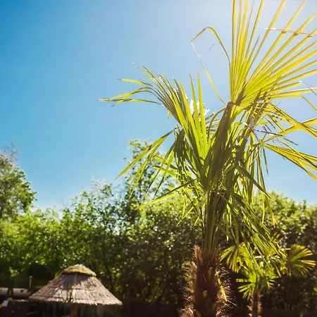 Holiday home Aloha Glamp - Okragle Przy Rzece - Balia I Sauna - Energylandia *