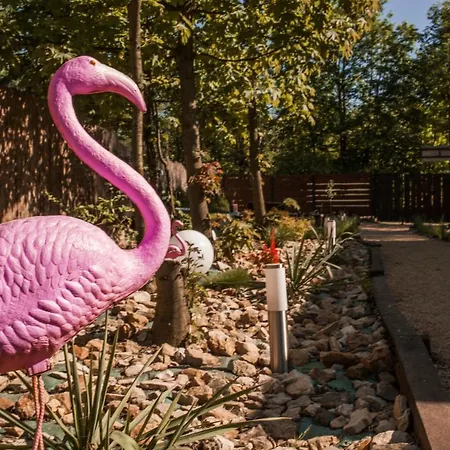 Aloha Glamp - Caloroczny Glamping Nad Rzeka Z Prywatna Balia - Stok Narciarski, Gory, Lasy, Sauna * Zagornik